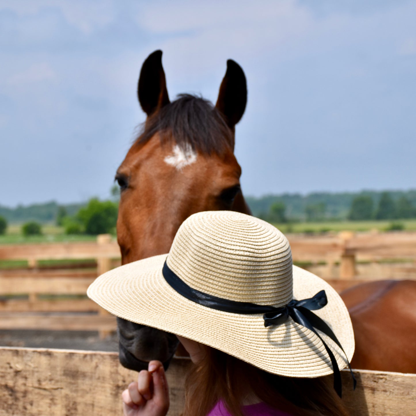 Show Day Hat - SEASHORE