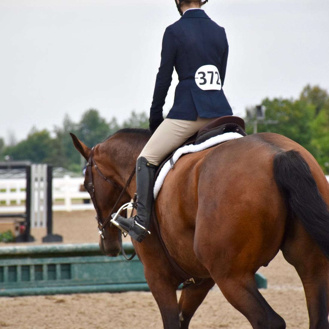 Horse Show Anxiety and How to Deal With It