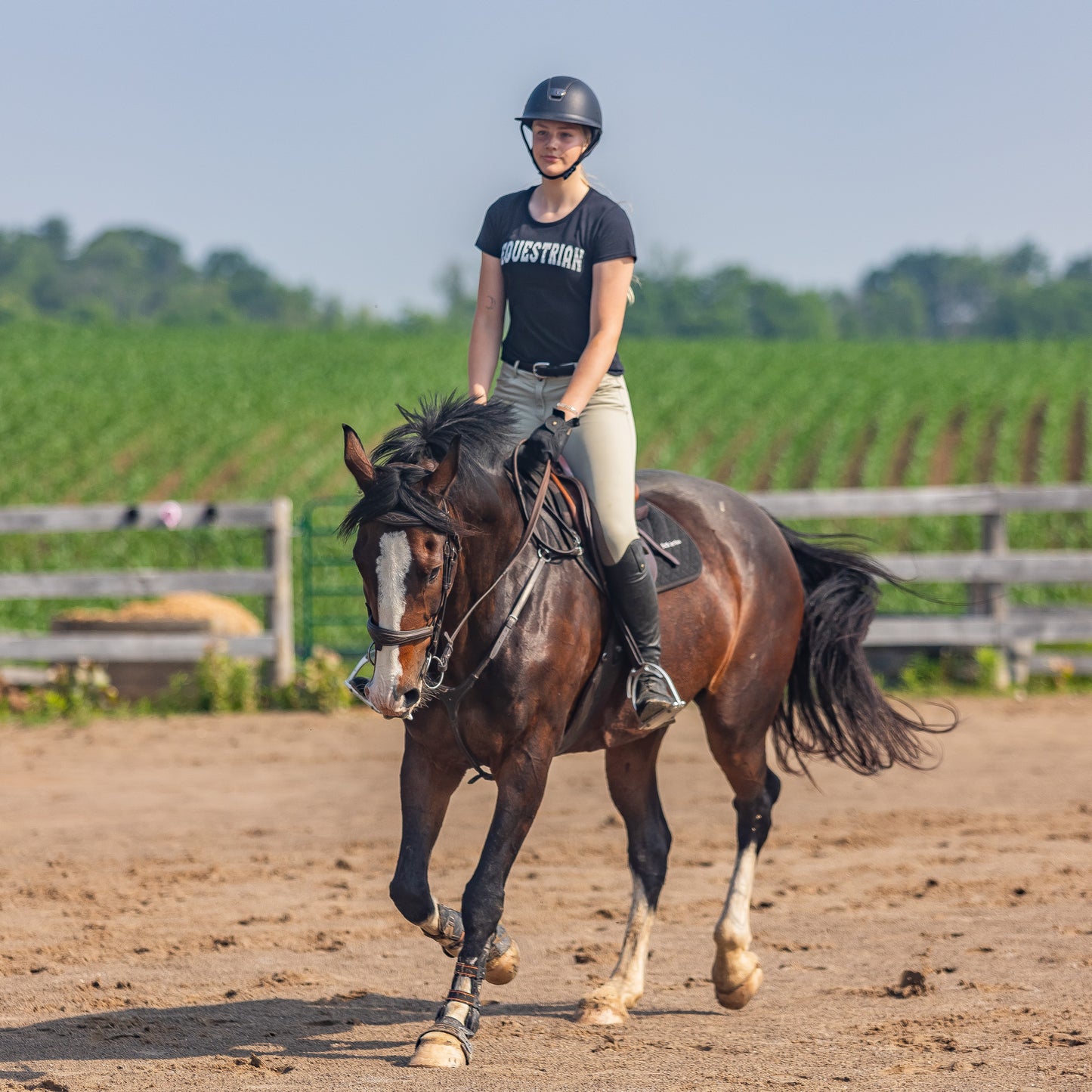 Equestrian Varsity Tee - BLACK